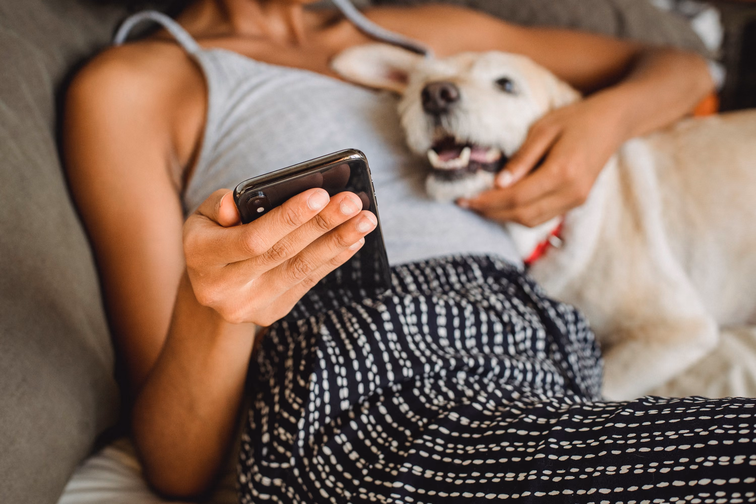 Person holding a dog stock image