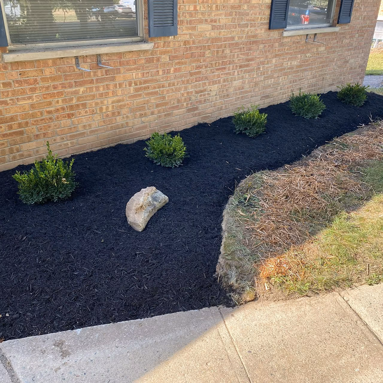 Fresh mulch installed in residential landscape beds in Indian Hill, Ohio
