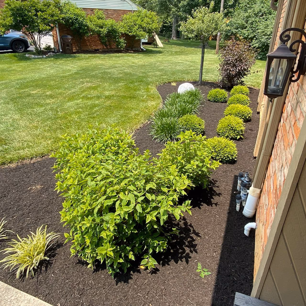 Shrub pruning and landscape maintenance near me by PerfaCut Lawn and Landscape in Greater Cincinnati, Ohio