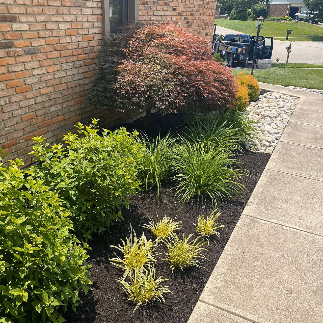 Professional shrub and plant maintenance by PerfaCut Lawn and Landscape in Greater Cincinnati, Ohio