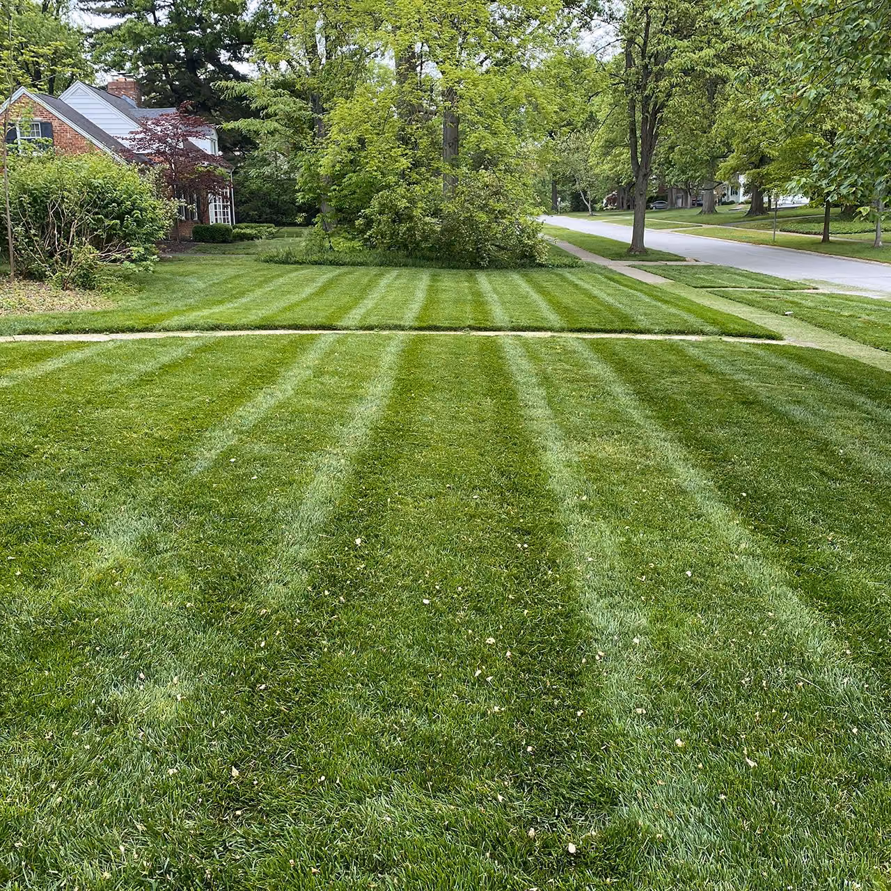Professional lawn maintenance near me by PerfaCut Lawn and Landscape in Greater Cincinnati, Ohio
