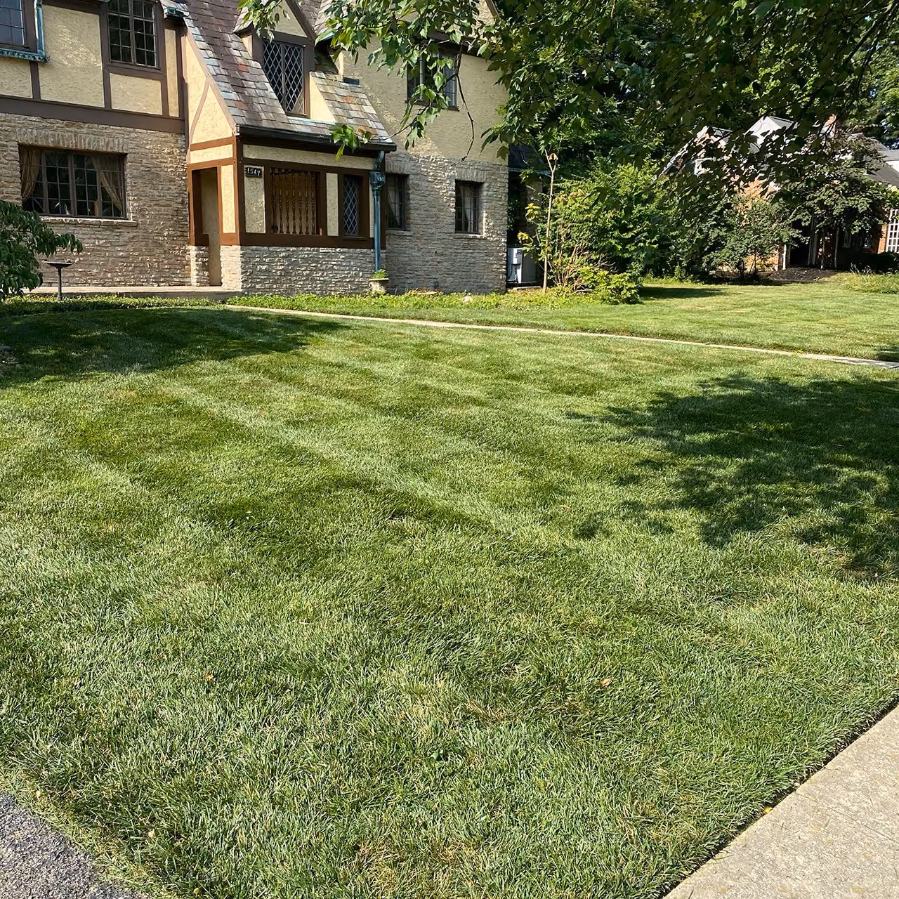 Routine lawn mowing, edging, and trimming for a residential property in Montgomery, Ohio
