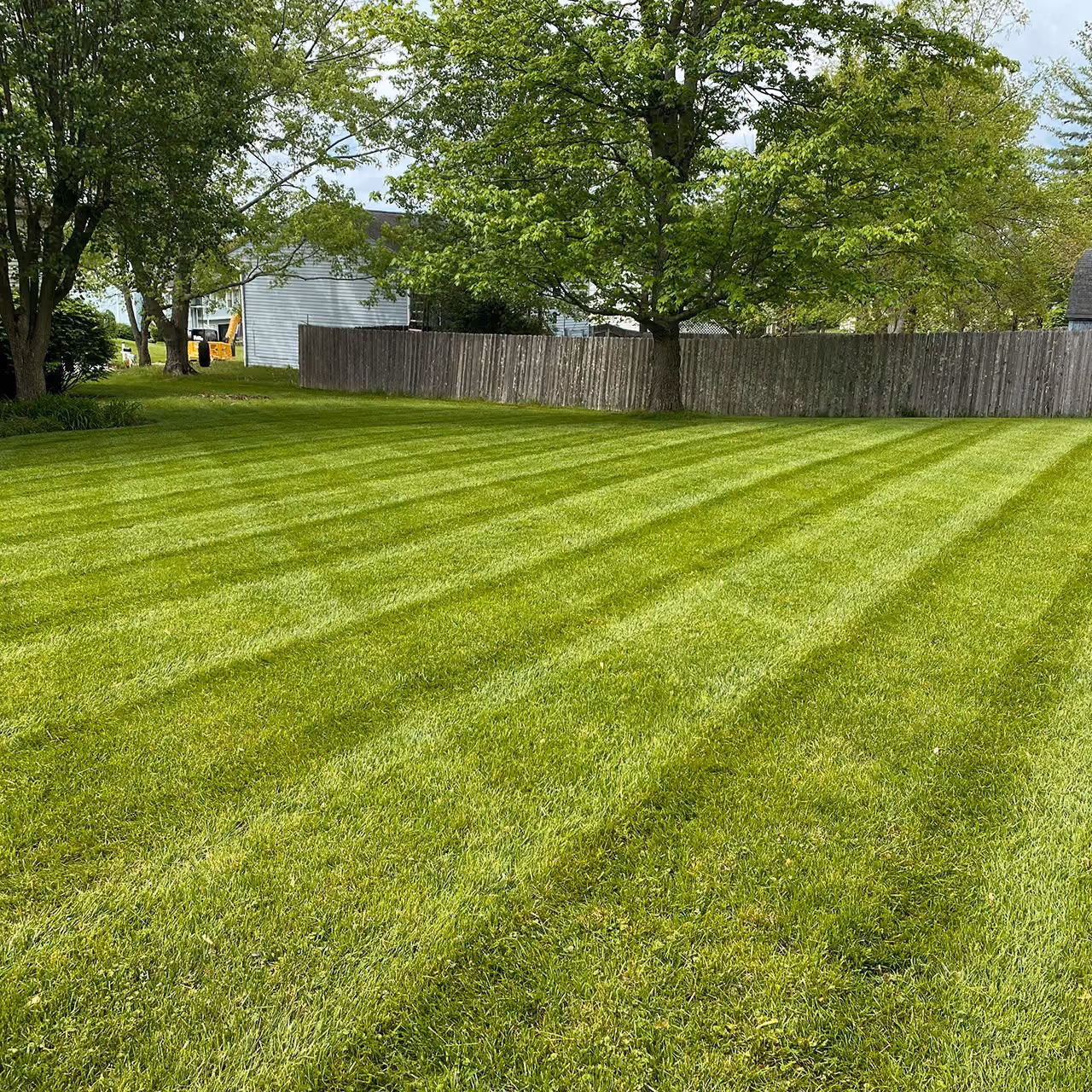 Freshly mowed and maintained residential lawn by PerfaCut Lawn and Landscape in Mason, Ohio

