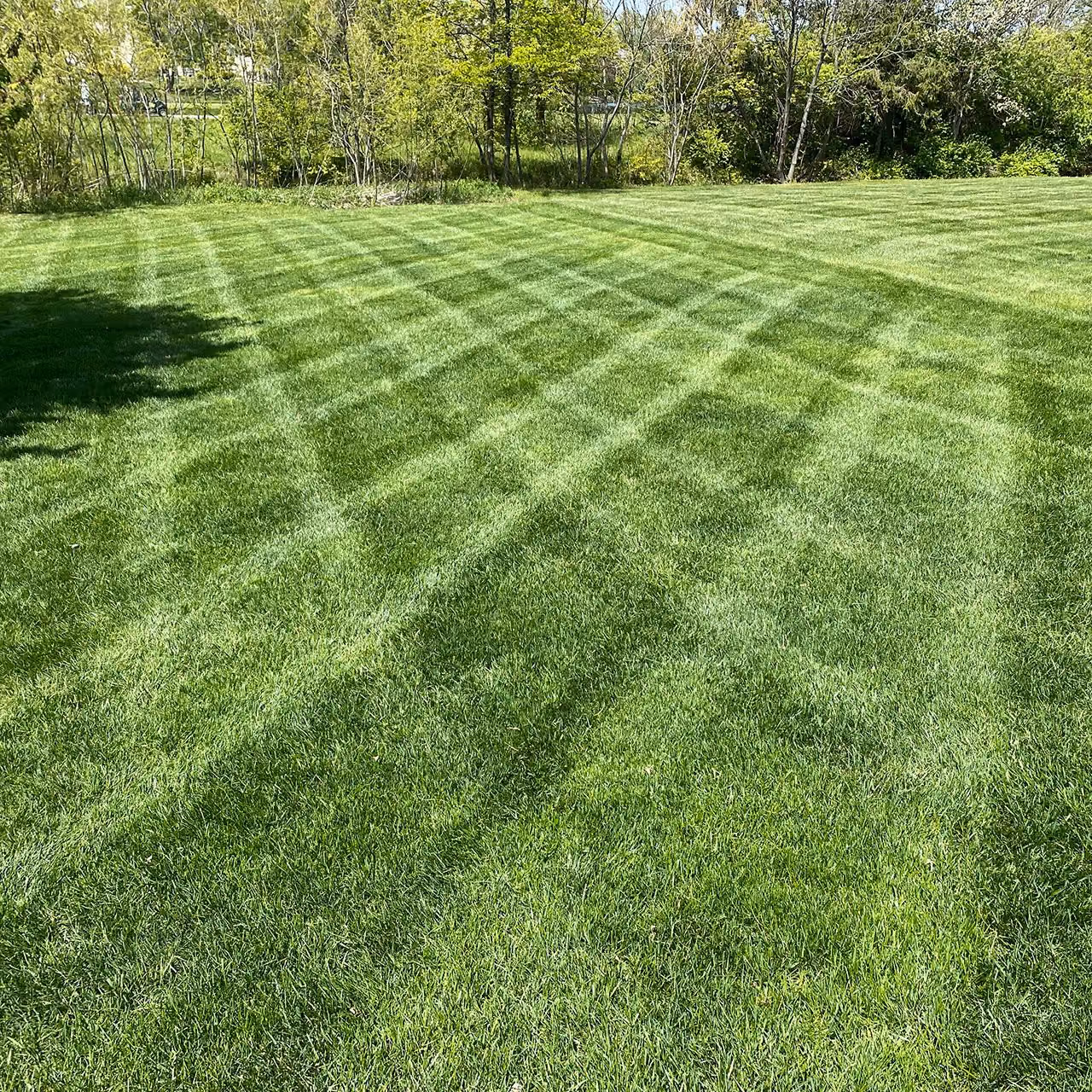 Professional lawn maintenance near me by PerfaCut Lawn and Landscape in Greater Cincinnati, Ohio
