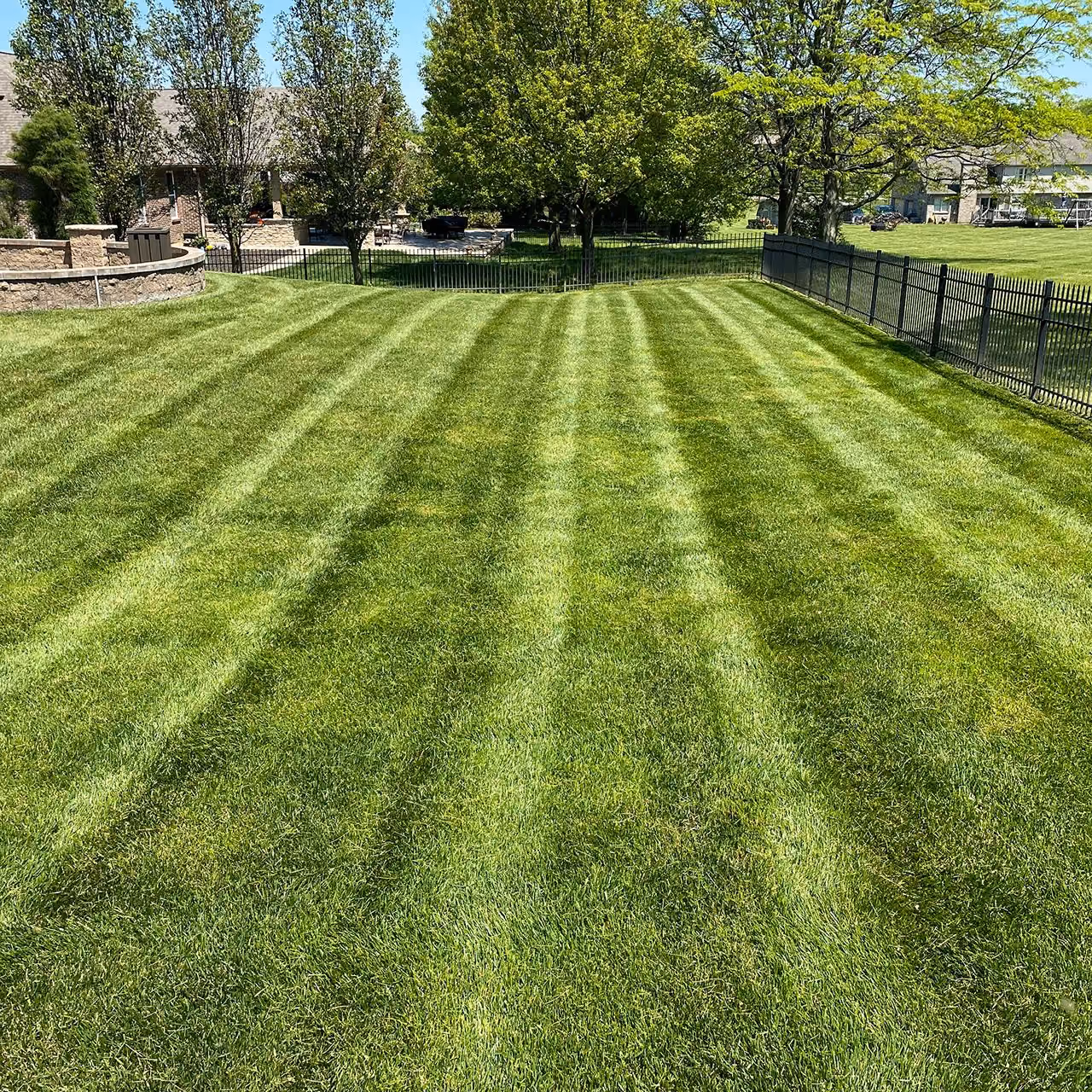 Routine lawn maintenance for a healthy residential lawn in Blue Ash, Ohio
