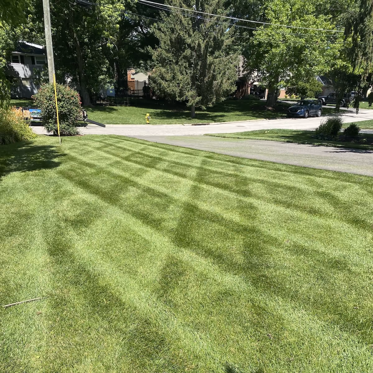 Professional lawn maintenance near me by PerfaCut Lawn and Landscape in Greater Cincinnati, Ohio