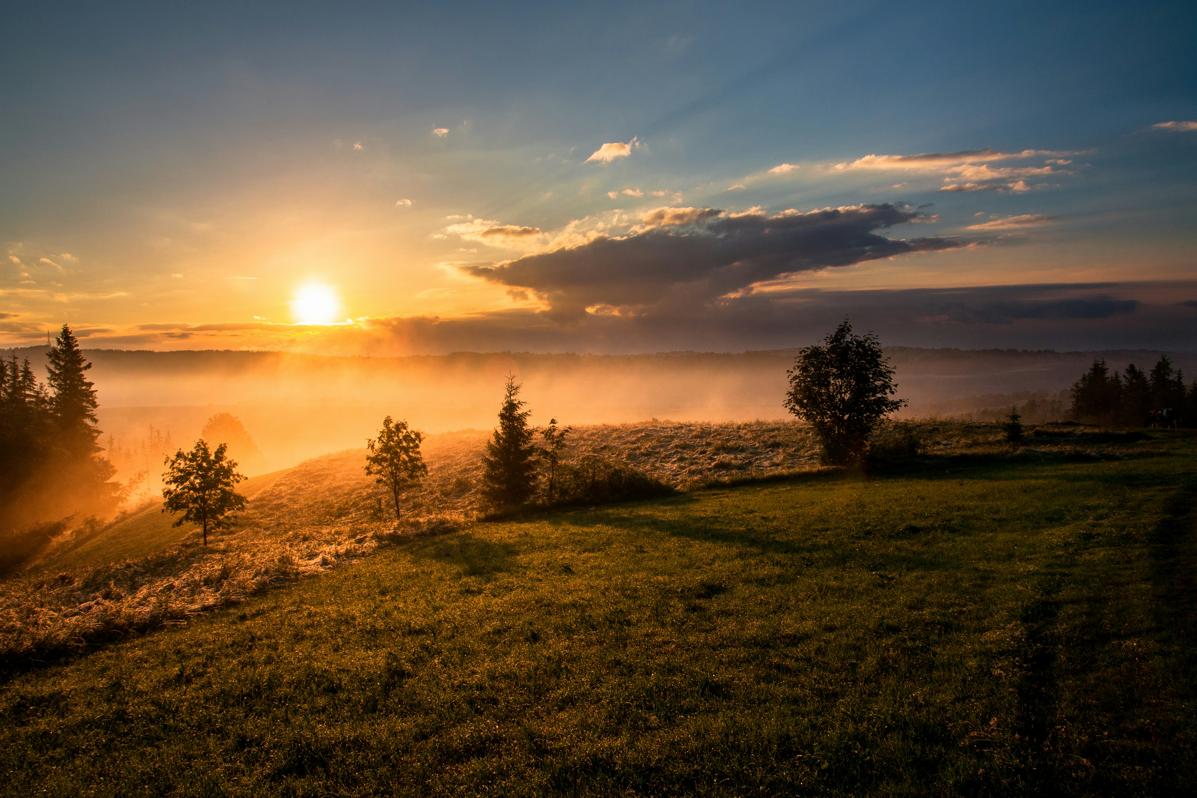 A calm horizon at first light