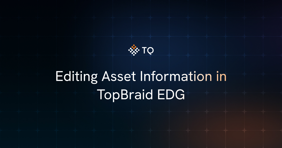 Editing Asset Information in TopBraid EDG