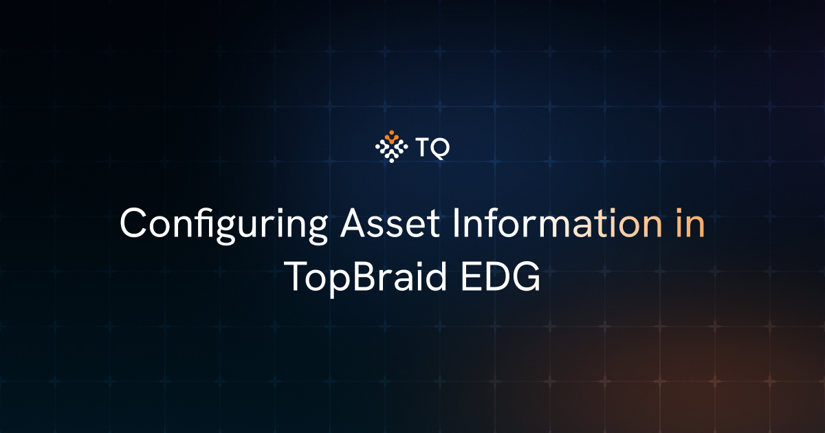 Configuring Asset Information in TopBraid EDG