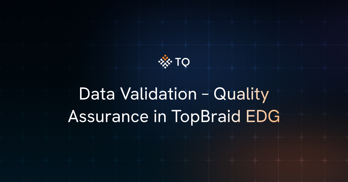 Data Validation – Quality Assurance in TopBraid EDG