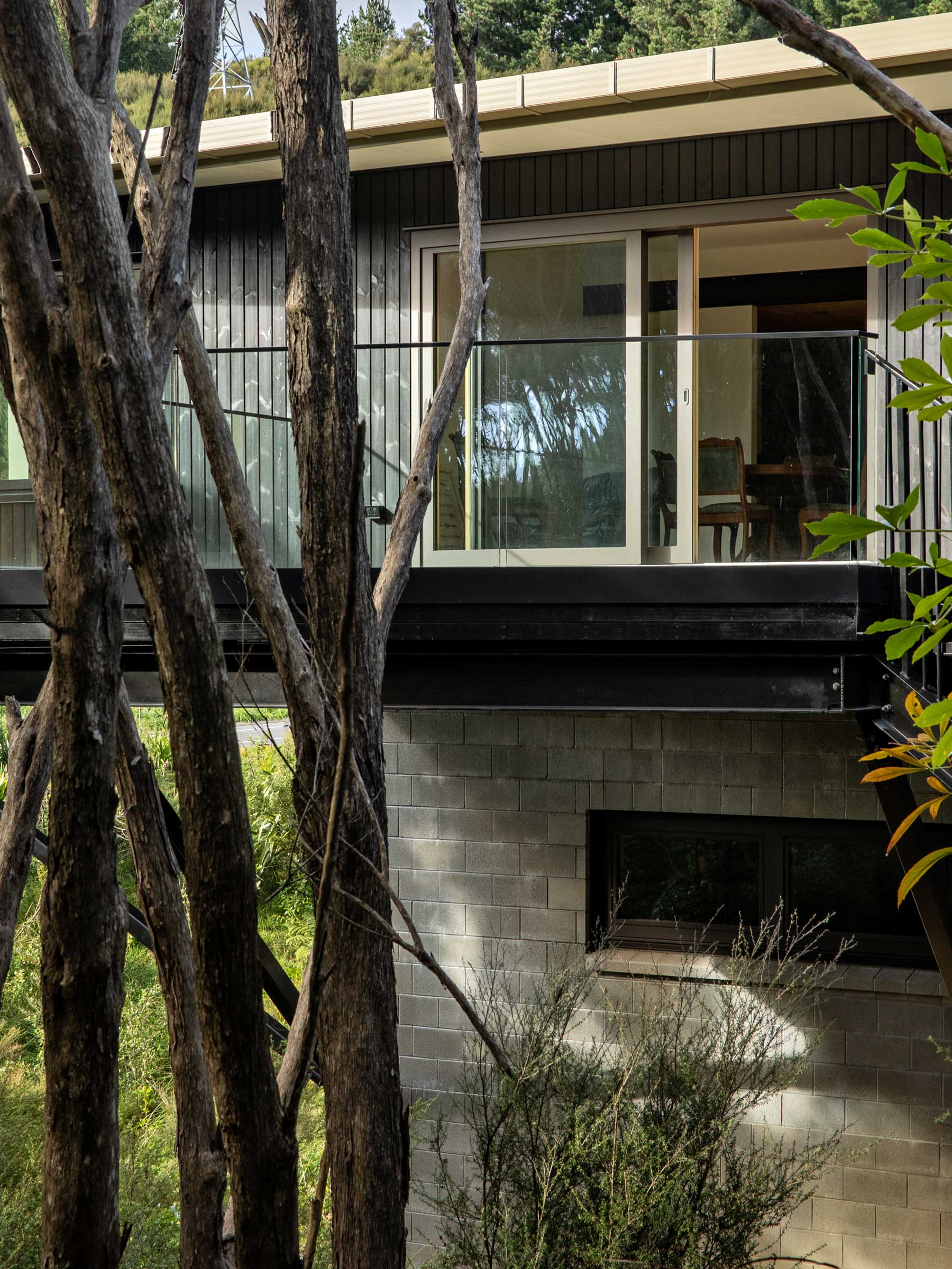 View of an architectural house through the trees