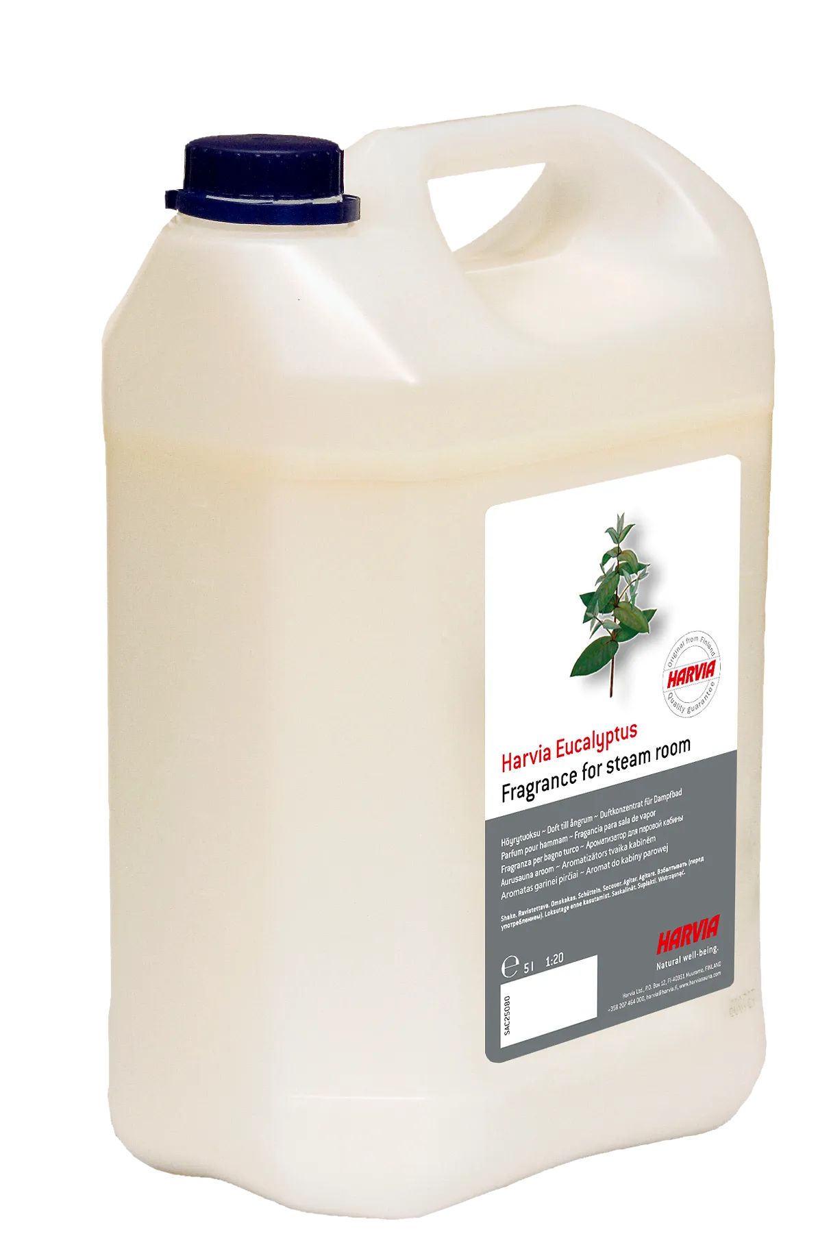 Steam scent eucalyptus 5 l