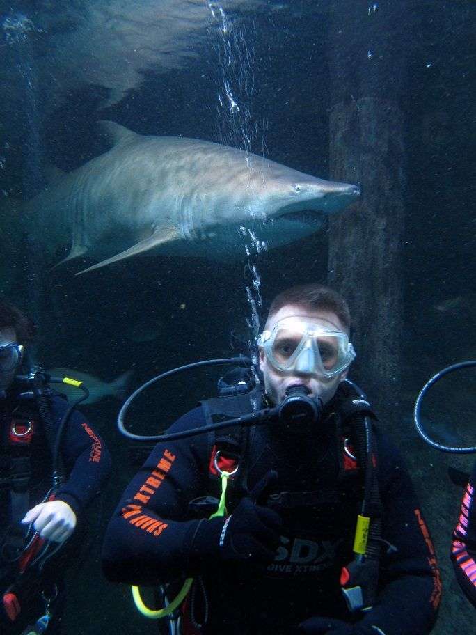Making Active Change to Protect the Planet; Swimming with Sharks