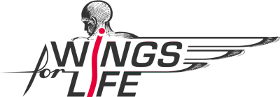 Red Bull Wings for Life Charity