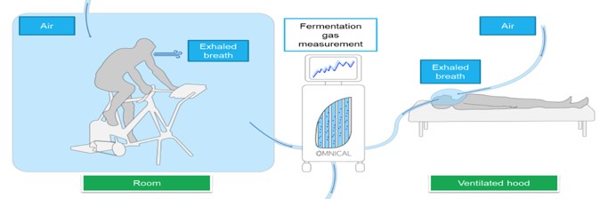 Microbial fermentation