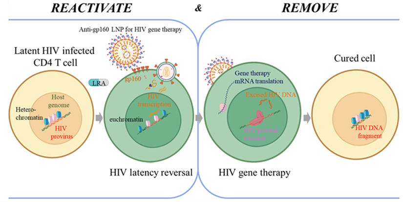 Reactive cell will be removed by gen therapy