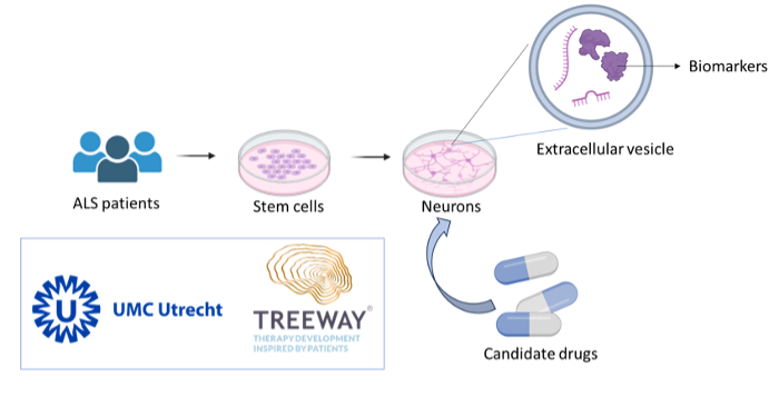 Extracellular vesicle