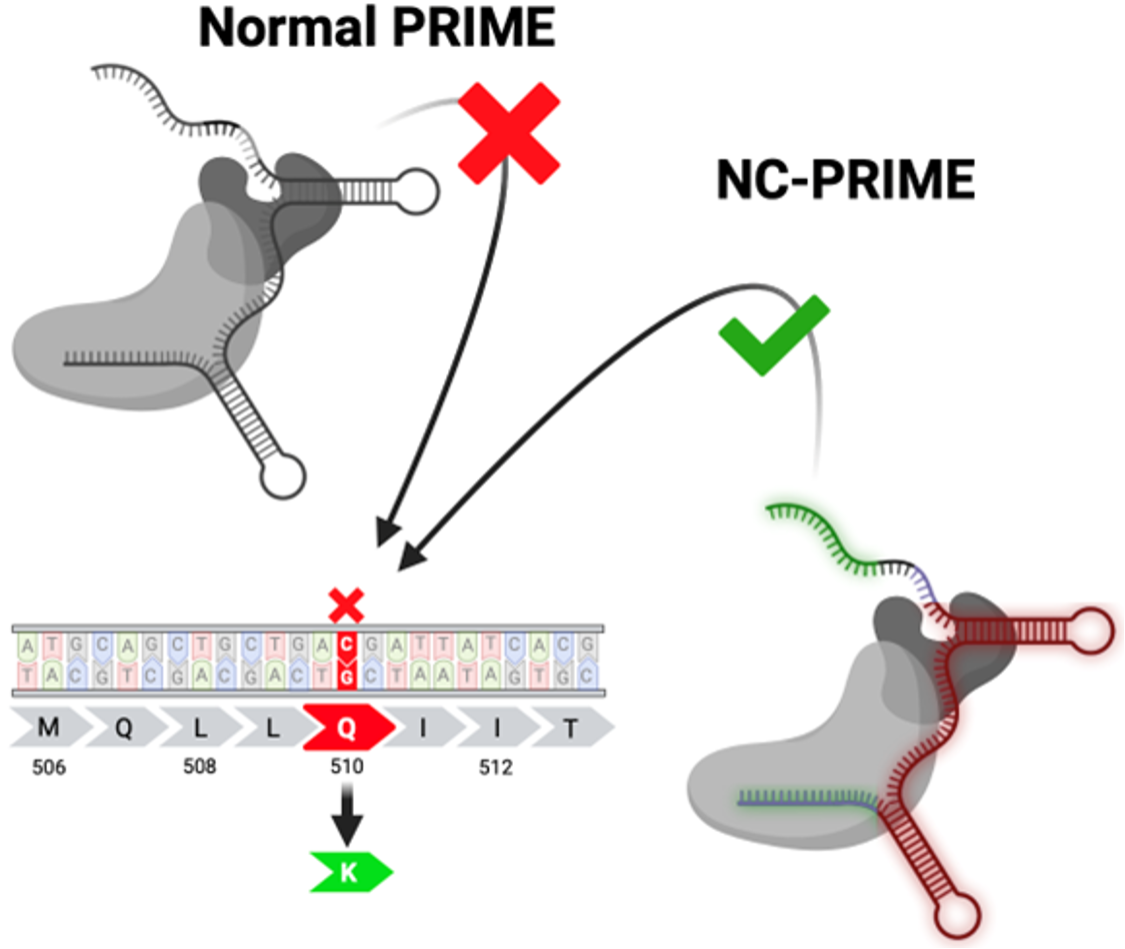 ncPRIME