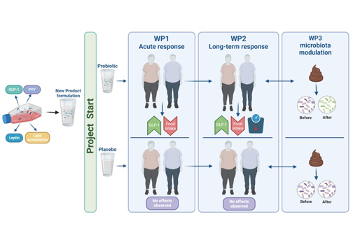 Probiotics, satiety and gut microbiota