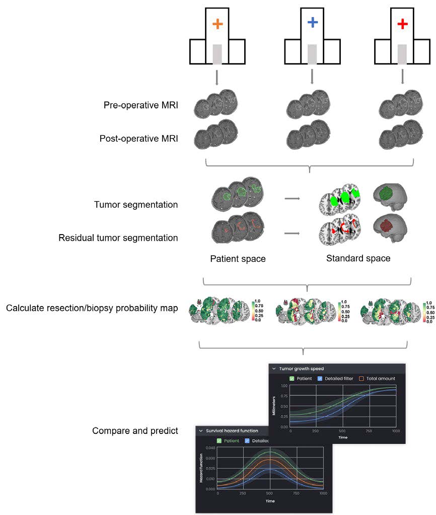 infographic