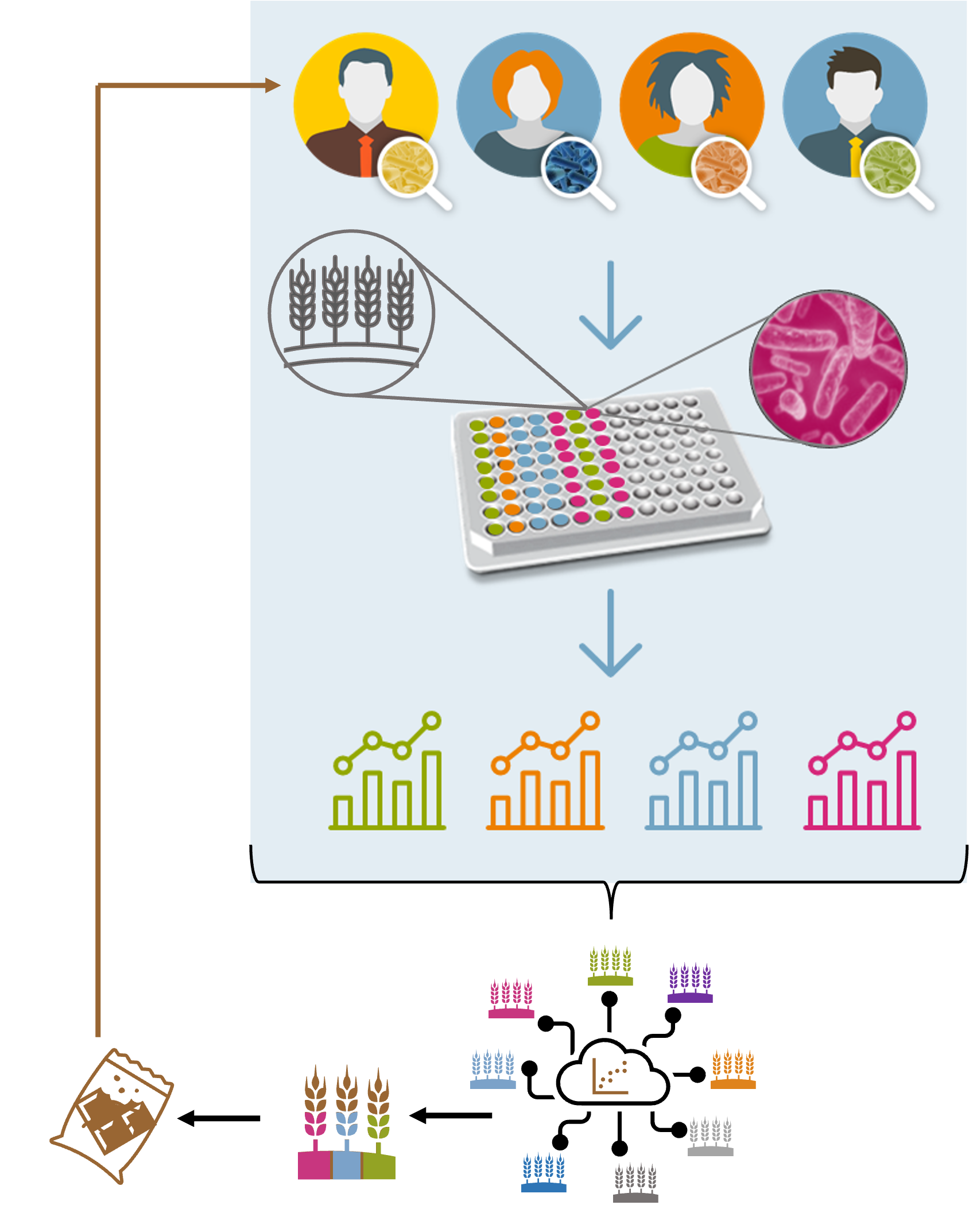 Fibres for a healthy microbiome, YoUr PERsonal Gut Intervention