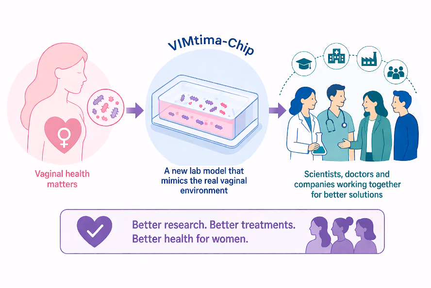 A Vaginal Organ-on-Chip for Studying Host–Microbe Interaction
