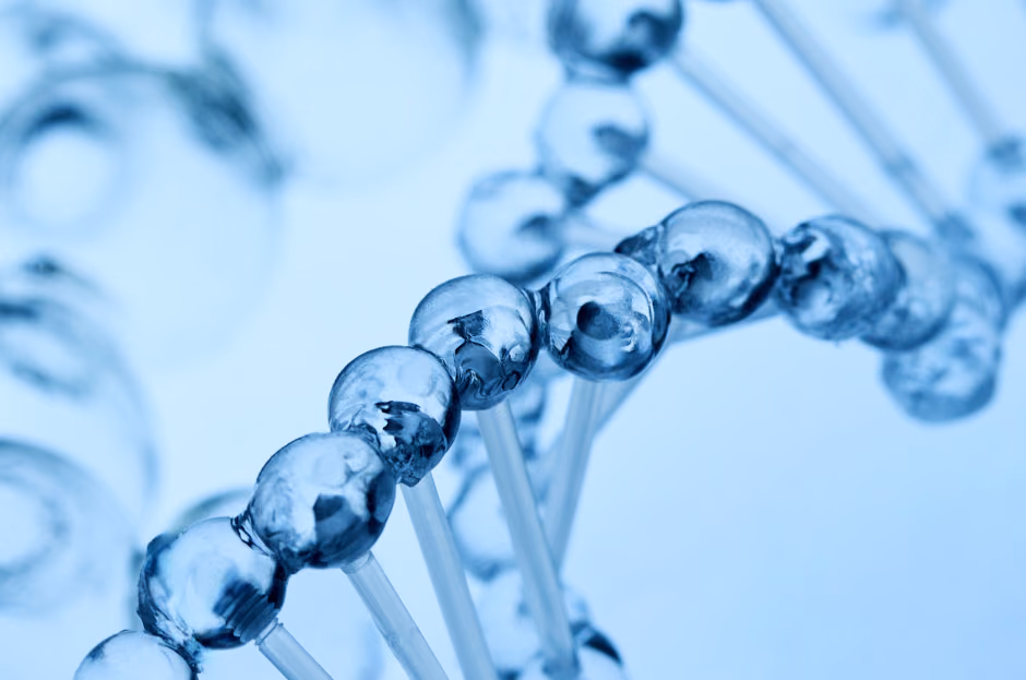 Multi-omics biomarker discovery for individualized nivolumab treatment in esophageal cancer
