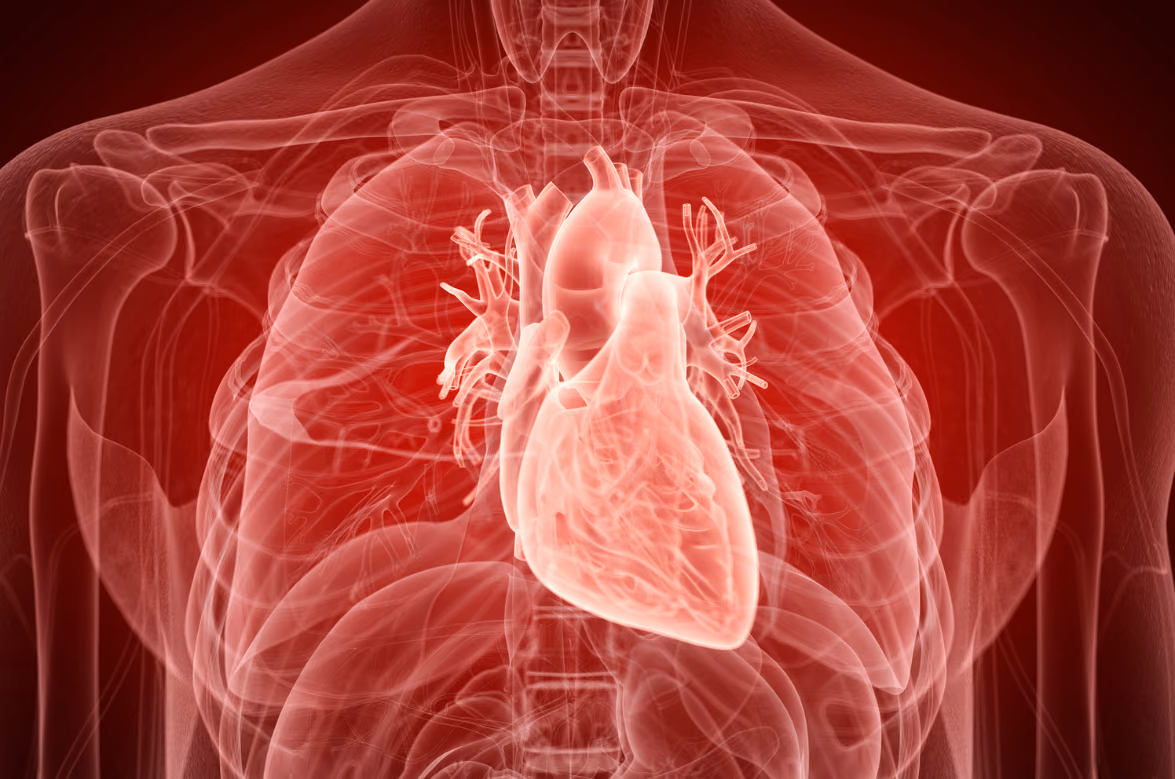 Teaching the heart to heal itself after a heart attack