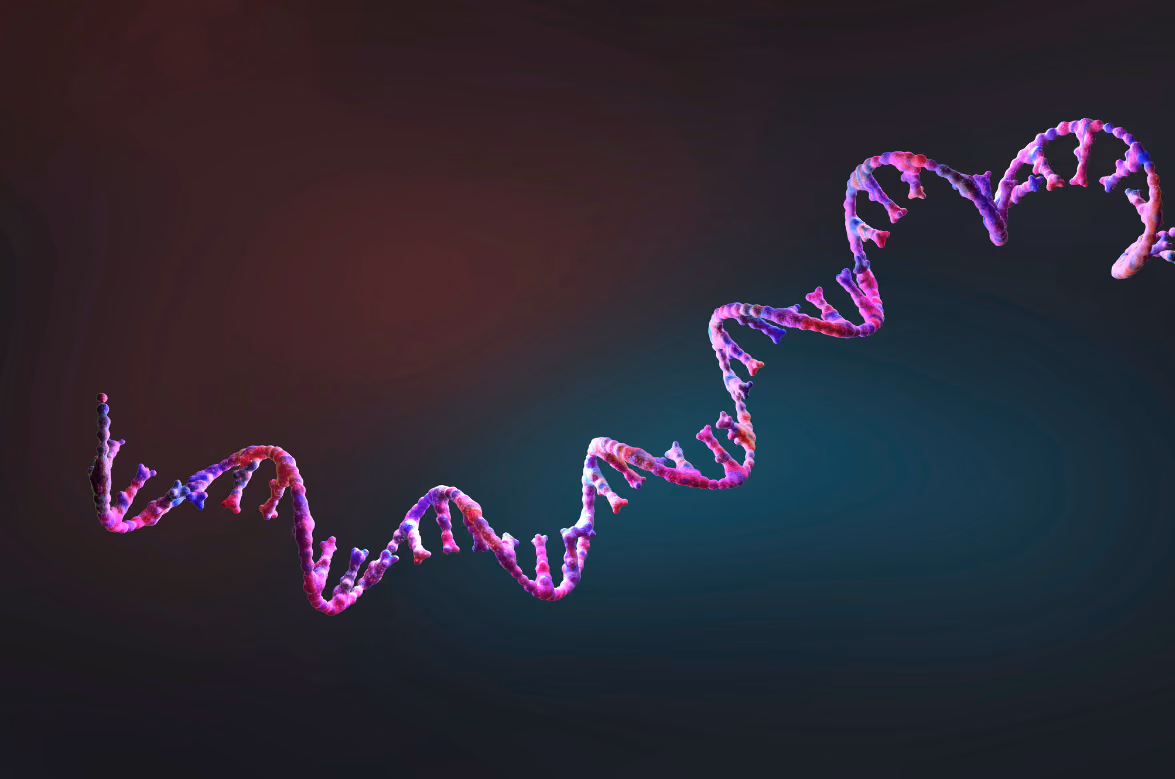 VELOCITY: Gene therapy to relieVe the burdEn of LMNA pathOgeniC varIanTs in cardiomYopathy