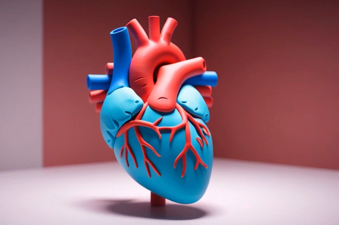 Digital twins of the human heart with real ion channels