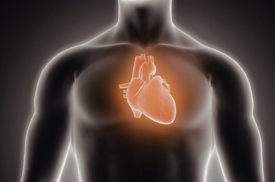 iHEART: A Controllable therapy to heal the heart