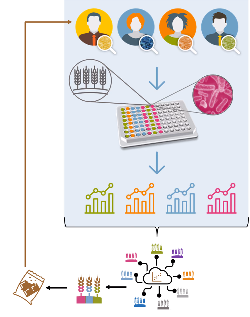 Fibres for a healthy microbiome, YoUr PERsonal Gut Intervention