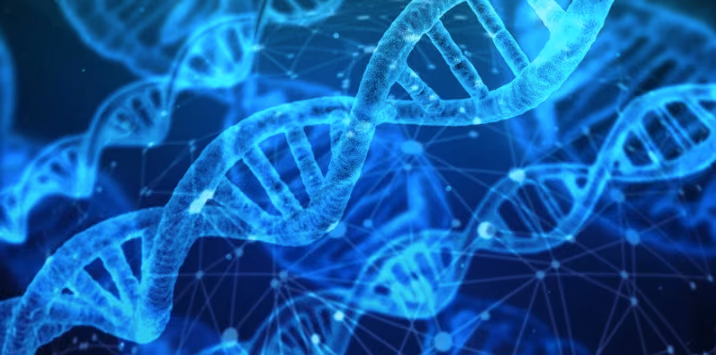 Melanoma Multi-level risk profiling by DNA sequencing