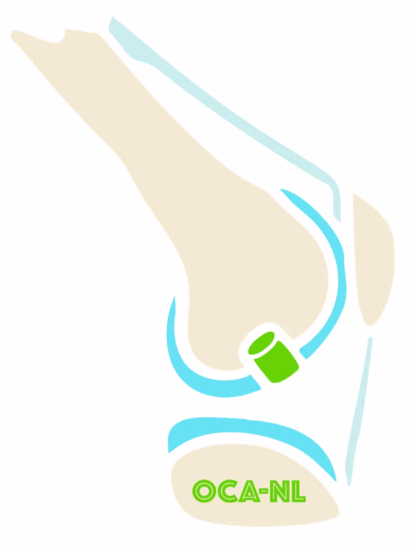 Donor bone-cartilage transplantations for knee joint preservation