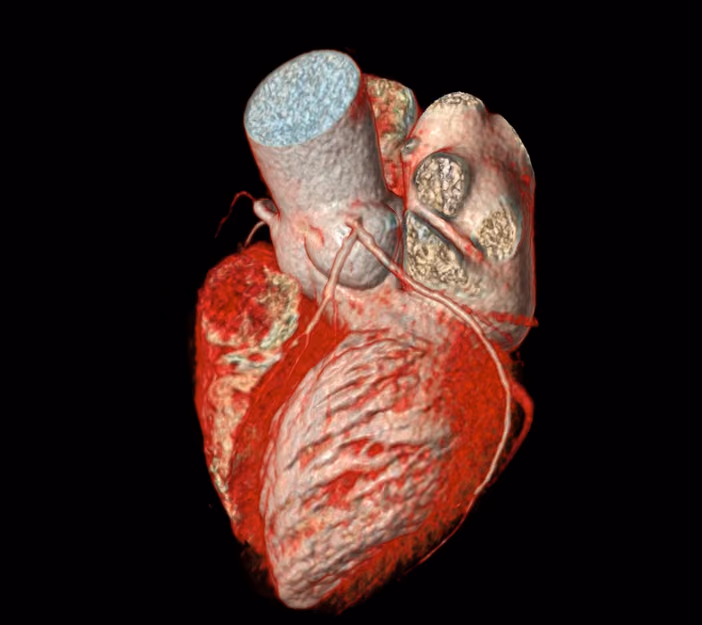 Identify characteristics which can help predict poor vascular function
