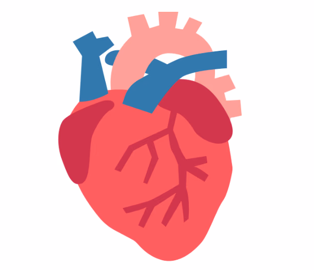 Extracellular Vesicle-Optimized Therapy Leveraging Vesicular Engineering for Phospholamban Cardiomyopathies