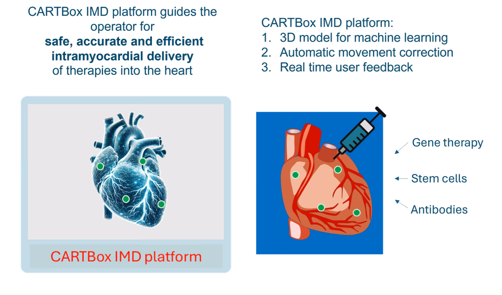 Accurate image guidance for BIOLOGICal therapies in the HEART