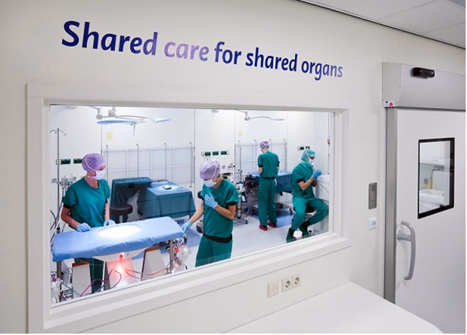 Extended machine perfusion for the recovery of high-risk donor livers