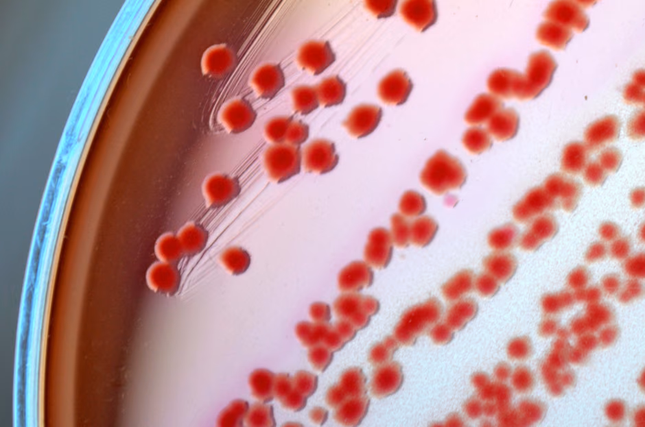 A novel therapy for sepsis in the intensive care setting
