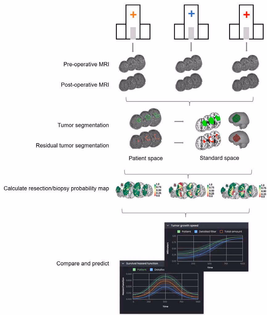 Picturing Predictions for Patients with Brain Tumors