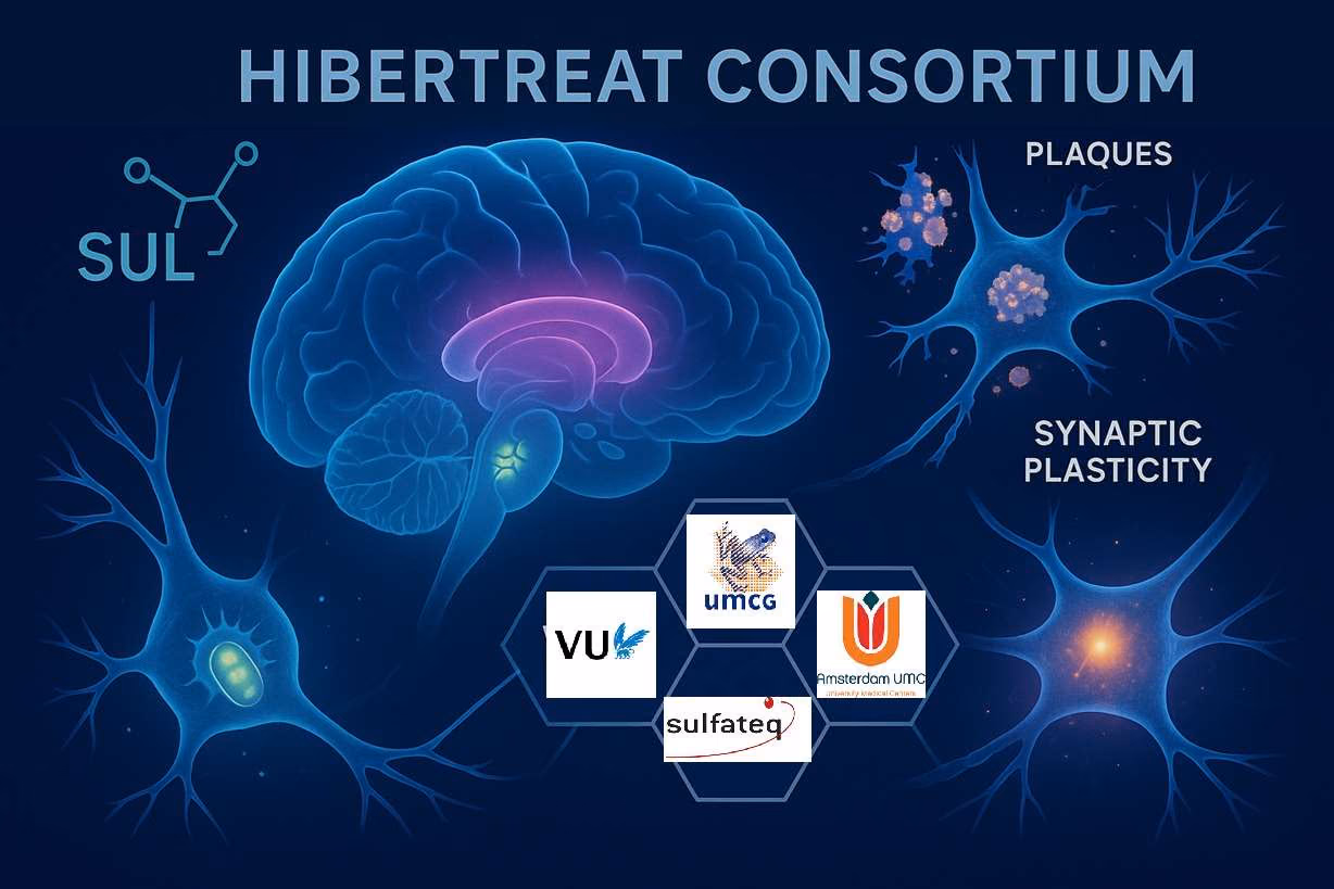 Hibernation-based treatment for Alzheimer’s disease