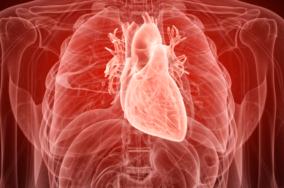 Early diagnosis of stable coronary heart disease using biomarkers from blood plasma extracellular vesicles