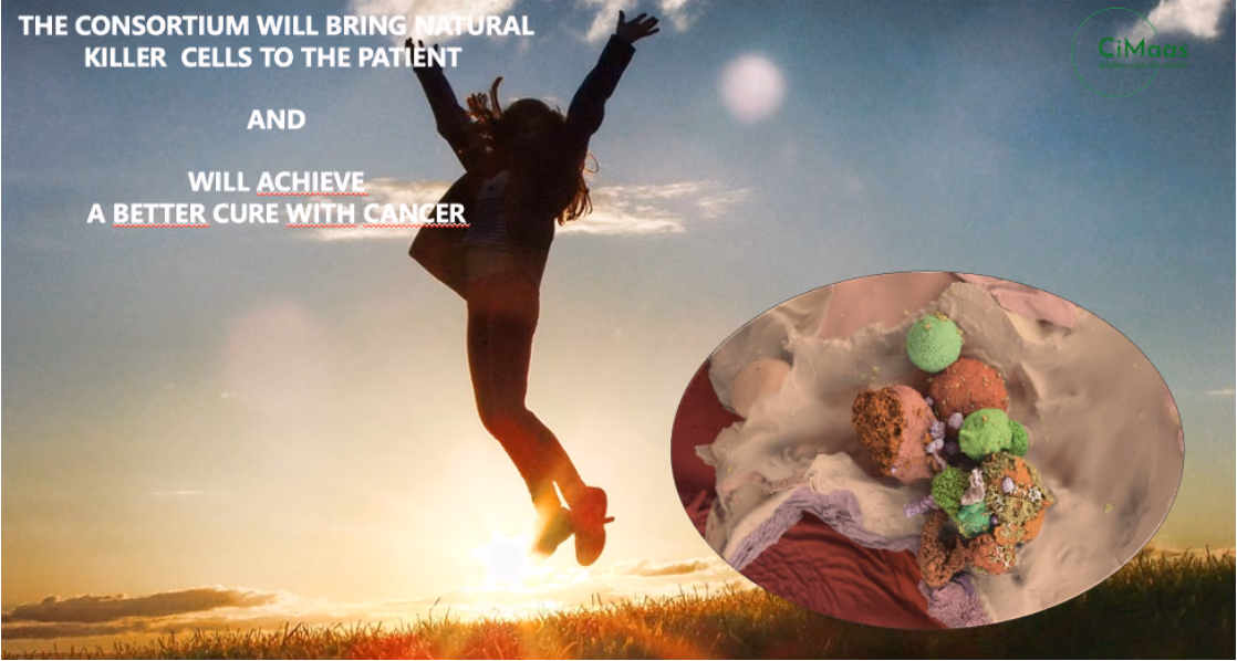 The insert in the picture shows the cancer cell killing process up-close