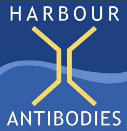 Using nanoparticles to repair genes in blood stem cells