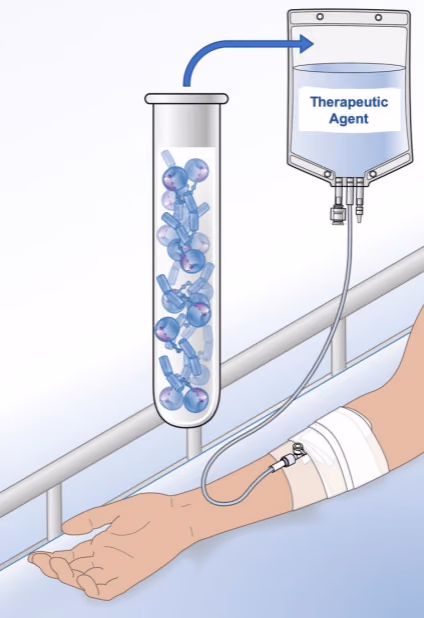 Engineering clotting factor X for therapeutic purposes