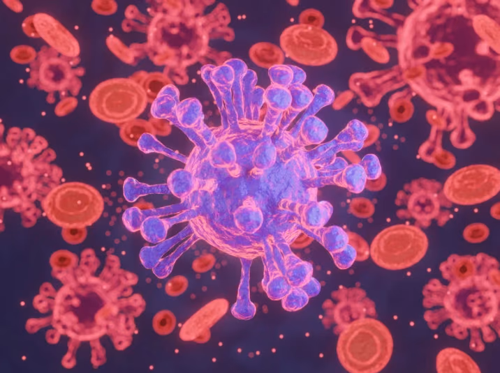 Finding and reactivating suppressive immune cells with IgA therapy to attack cancer