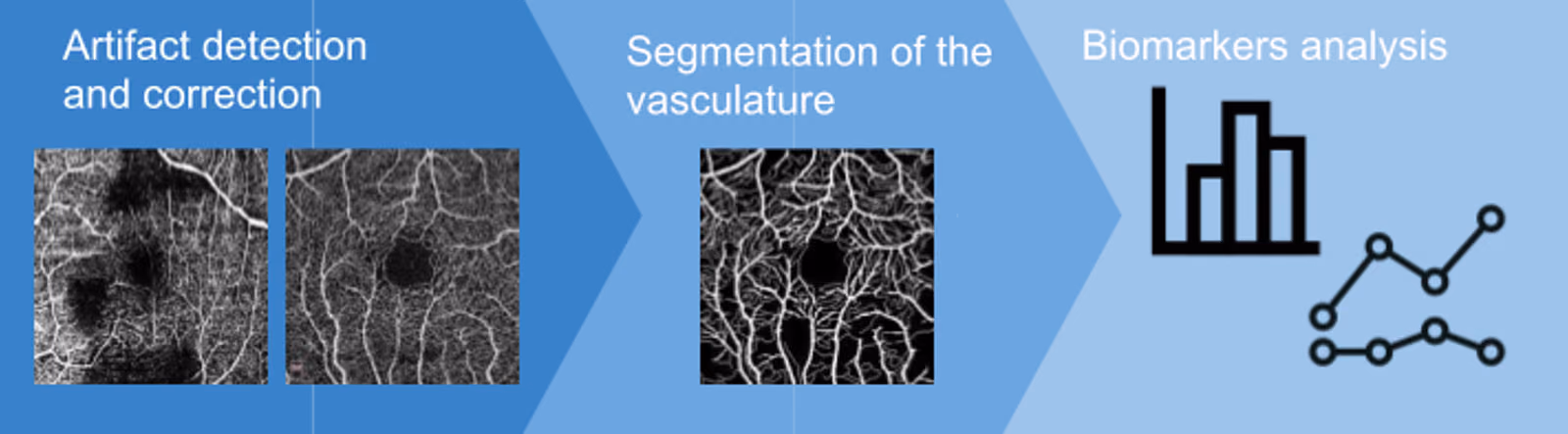 Improved retinal vascular analysis for accurate detection of pathological changes