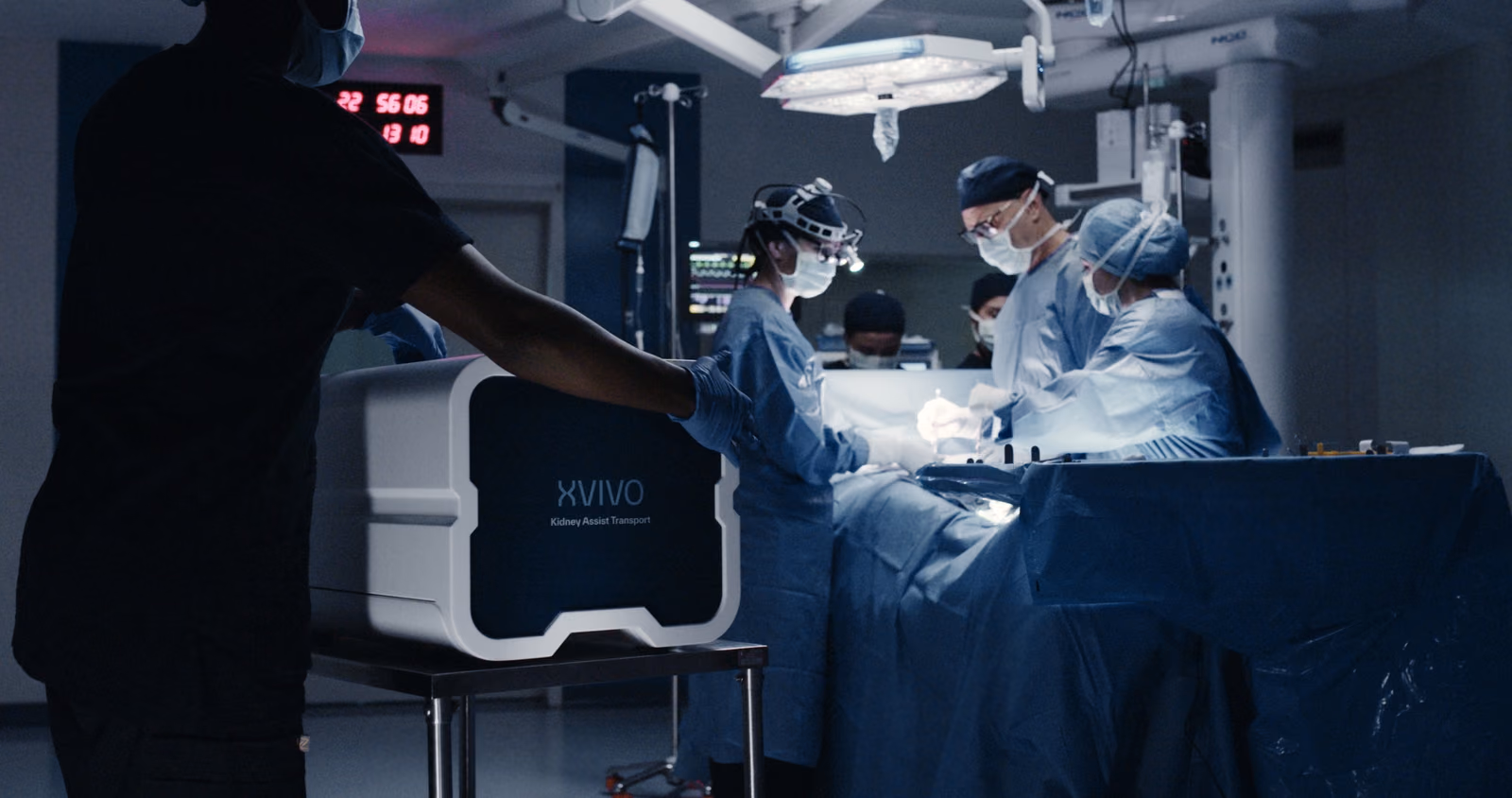 Liver Incubator for Functional Enhancement