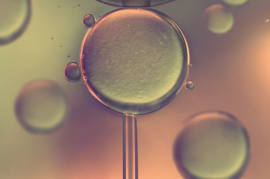 vitro patient avatars