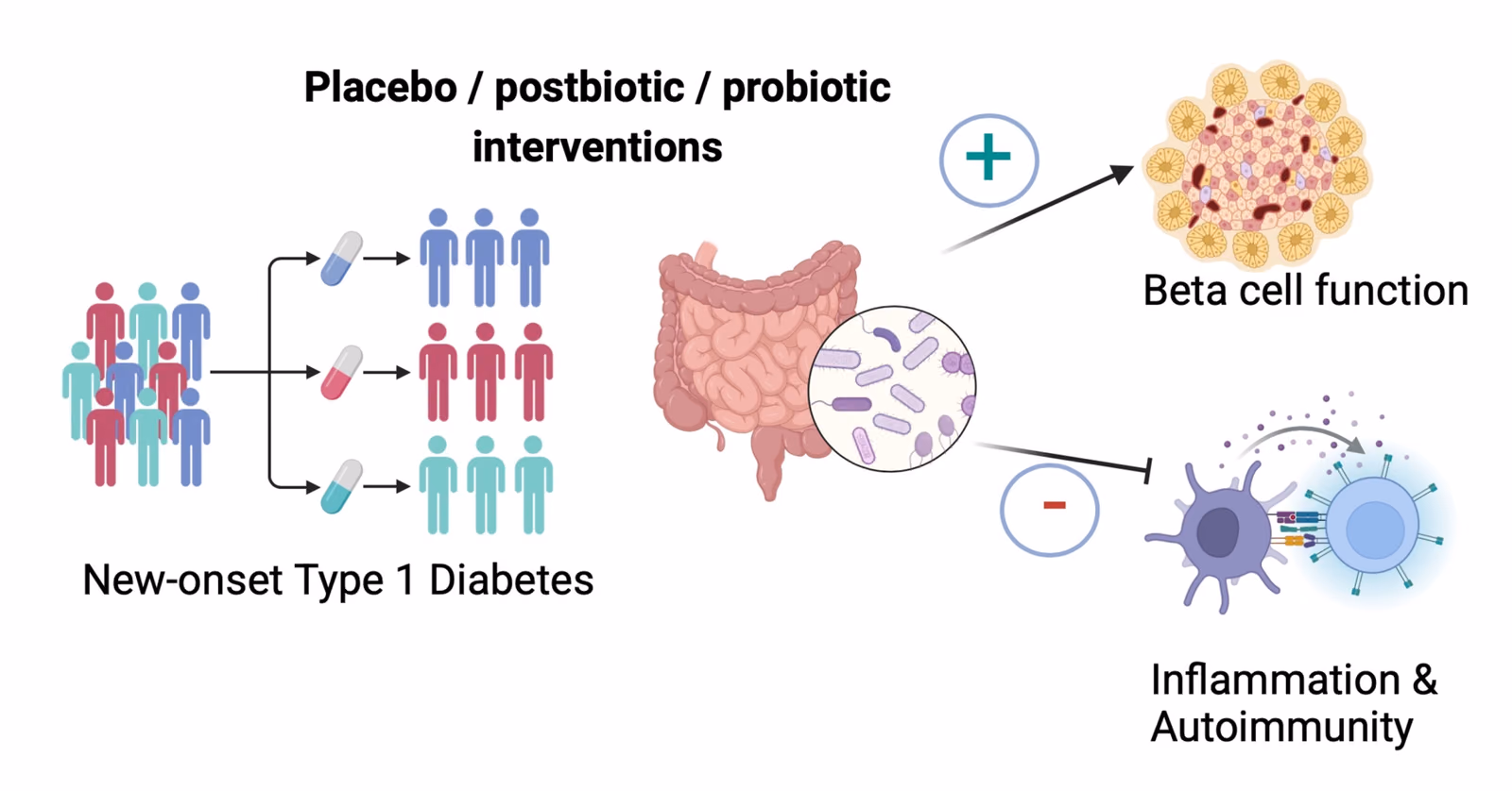 A simple dietary approach to counteract type 1 diabetes progression